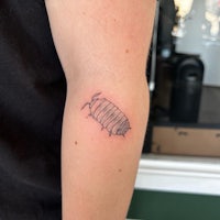 a woman with a tattoo of a bug on her arm